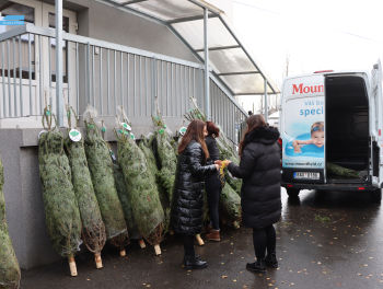 Christmas trees for our employees